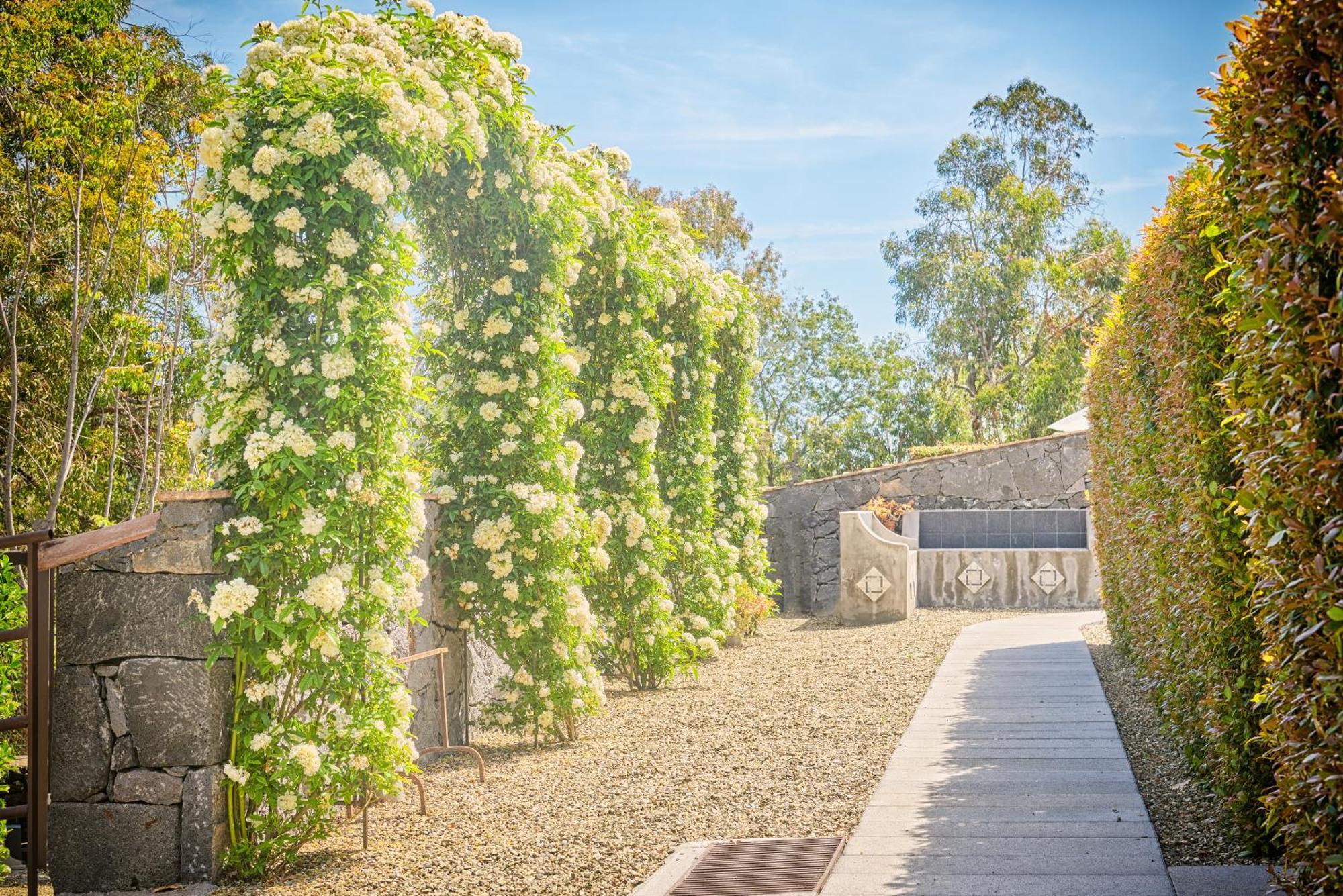 Апарт отель Il Casale Di Monacella Санта-Венерина Экстерьер фото